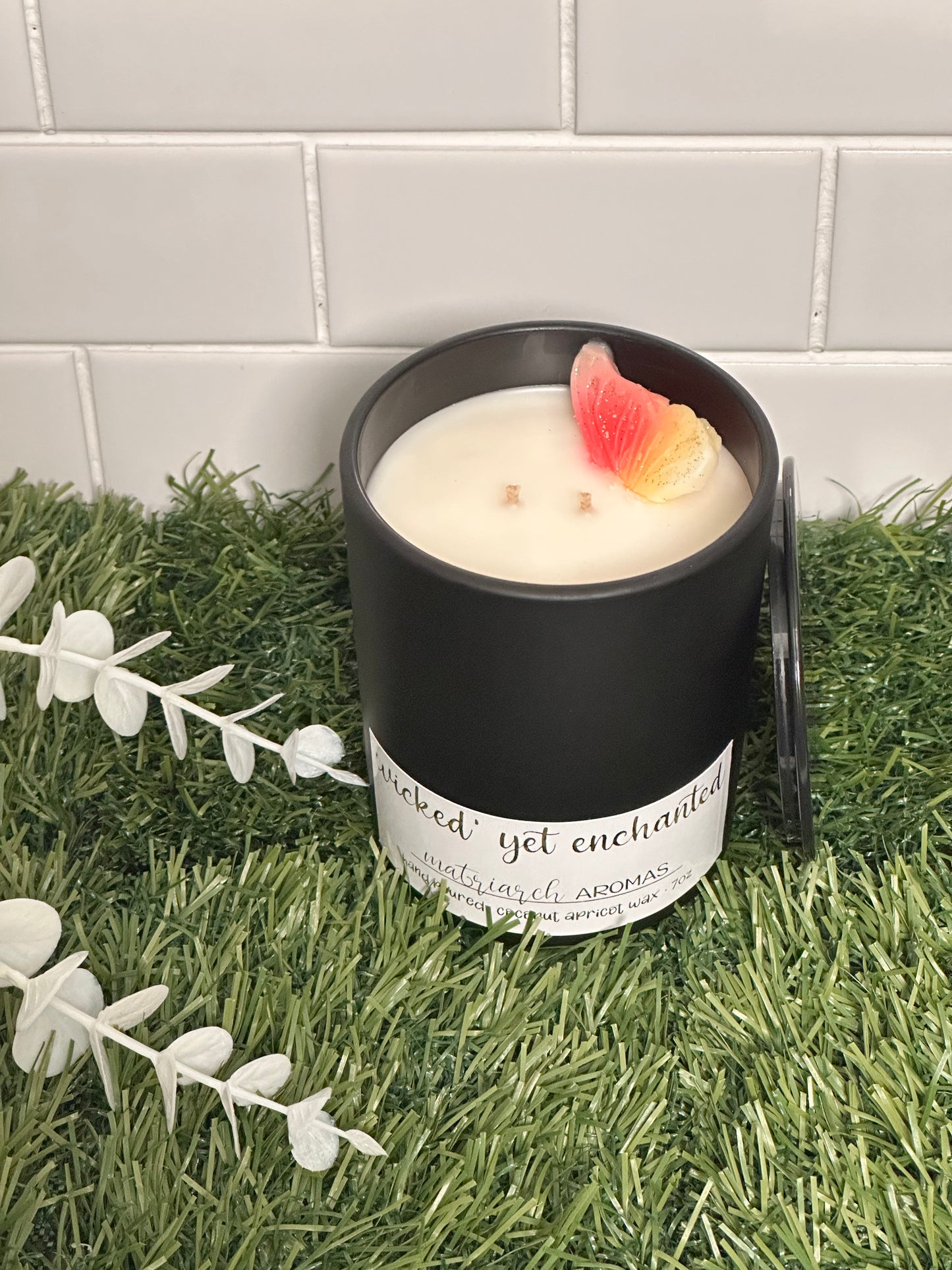 Wicked yet Enchanted